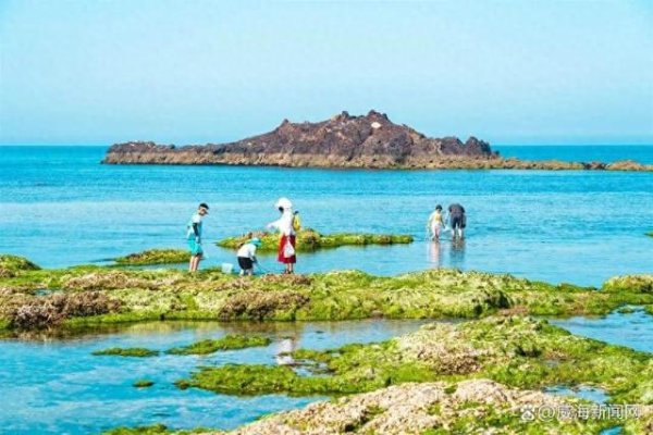 重庆配资炒股 威海荣成那香海鸡鸣岛赶海项目上线：夏日亲子探海，大海馈赠触手可及
